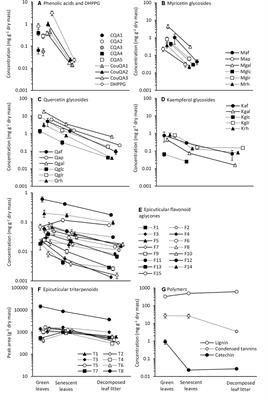 Intrapopulation <mark class="highlighted">Genotypic Variation</mark> of Foliar Secondary Chemistry during Leaf Senescence and Litter Decomposition in Silver Birch (Betula pendula)